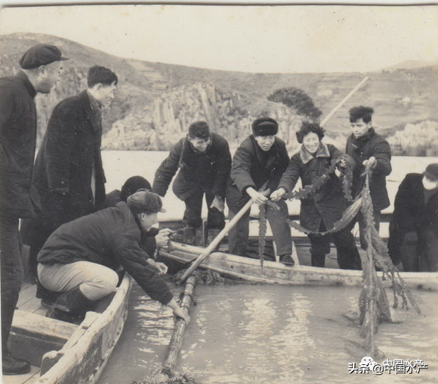 从“谁来养活中国”到“水产养殖业对世界是一个重大贡献”的伟大进步