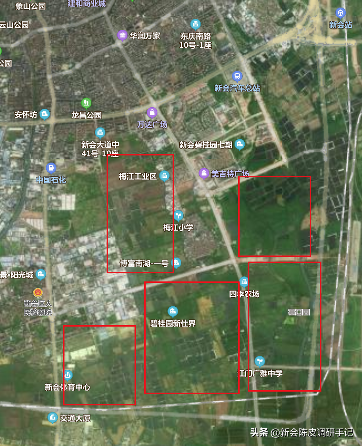新会陈皮“核心产区”被征地：“一线产区”在消逝，陈皮要涨价？
