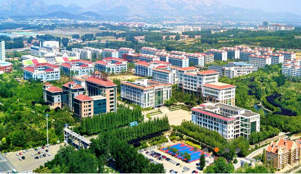 山东4所专科院校升为“本科”，录取分数线不高，高三学生可关注