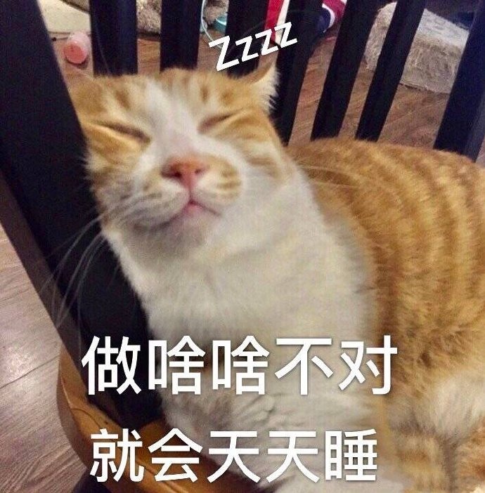 猫咪表情包合集｜老子可爱吗？