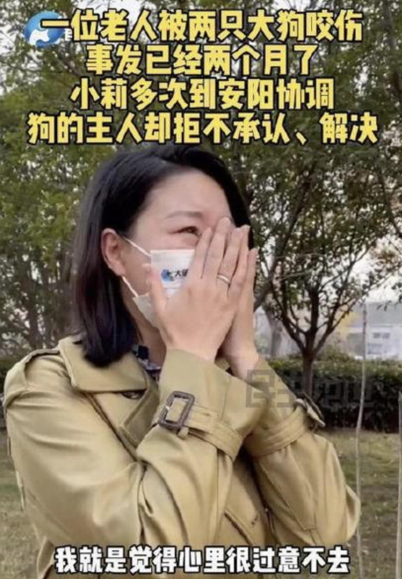 因为狗主人一直躲避解决问题,让身为记者小莉都绝望地在采访中忍不住