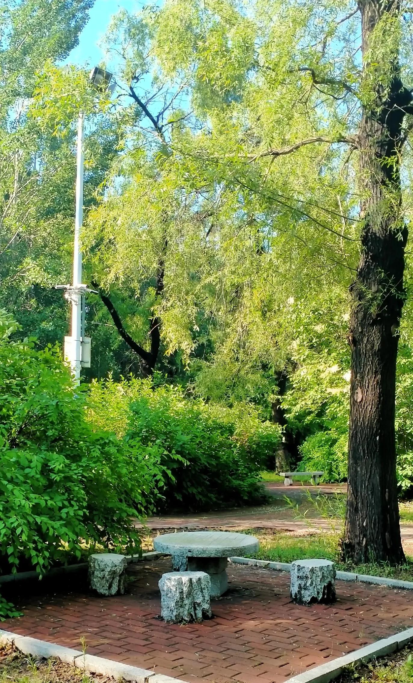 长春师范大学——竟然这么美