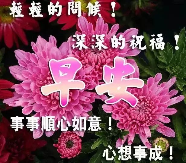 冬天早上好暧心祝福语大全