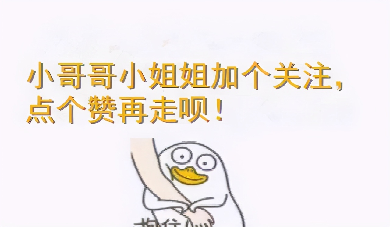 波斯貓的眼睛,波斯貓的眼睛一般是什么顏色