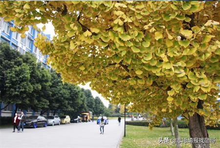 定了！北京吉利学院，迁往成都，北京校区，北大入驻！
