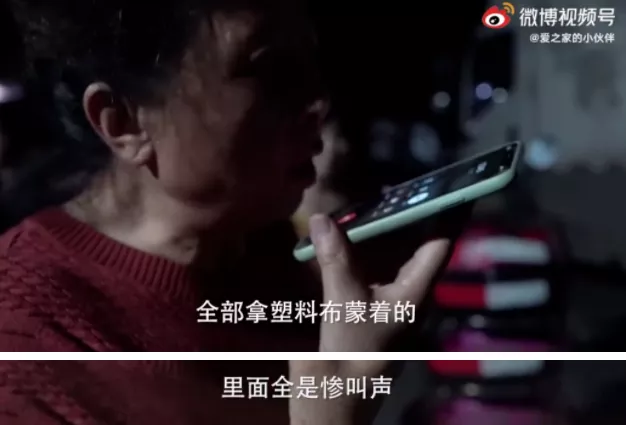 激怒4.6亿人，央视下场痛批！最“反人性”的生意，还在疯狂敛财