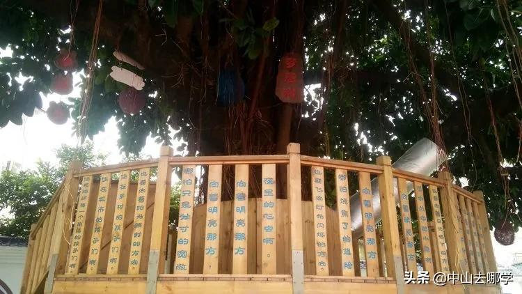 学校简介｜火炬区第五小学