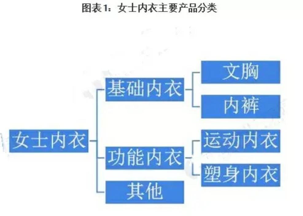 中国女性内衣发展的20年涌现了那些品牌