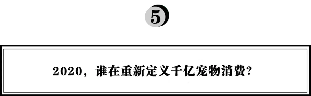 重磅 |《2020年中国最具潜力新品牌TOP100榜单》发布