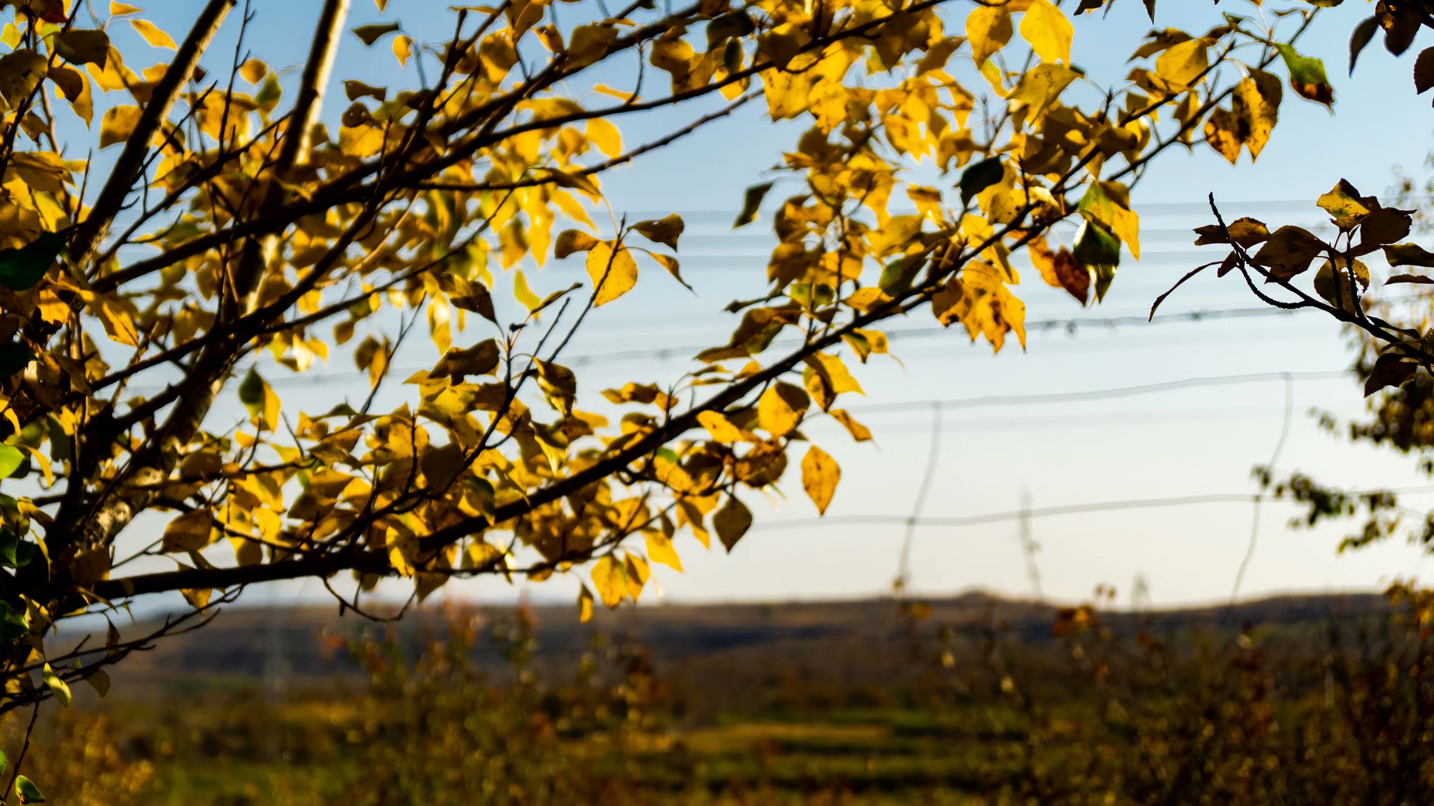 这所武汉的财经类名校，应用经济学、法学评为A类专业，优势明显