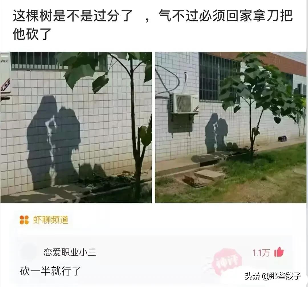 神评爆笑精华版（17）