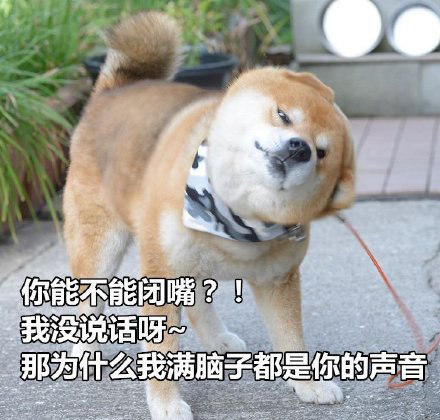 柴犬土味情话表情包合集｜你知道我的缺点是什么吗？