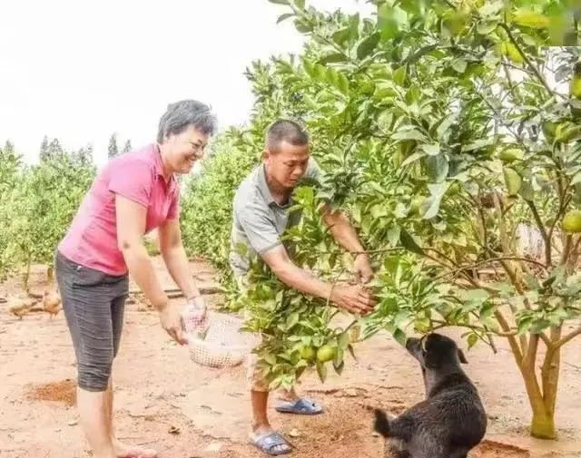 全红婵1家7口现状：红姐拒接广告，老爸仍种地，大哥广州当厨师