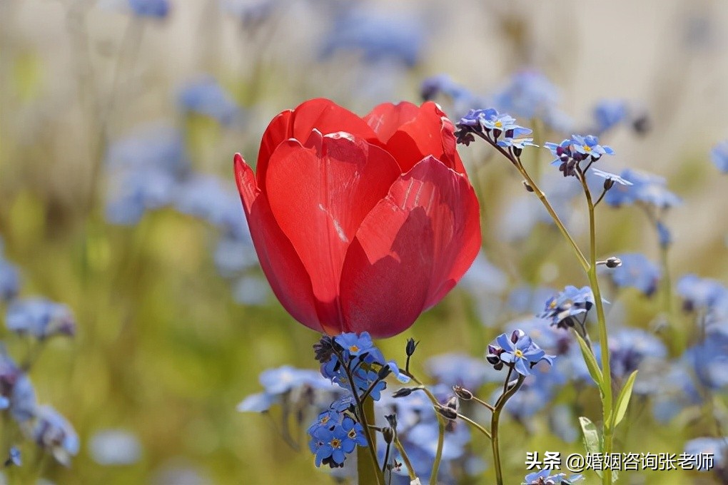 婚姻：出轨后，你能得到的最好的帮助，就是帮你慢下来