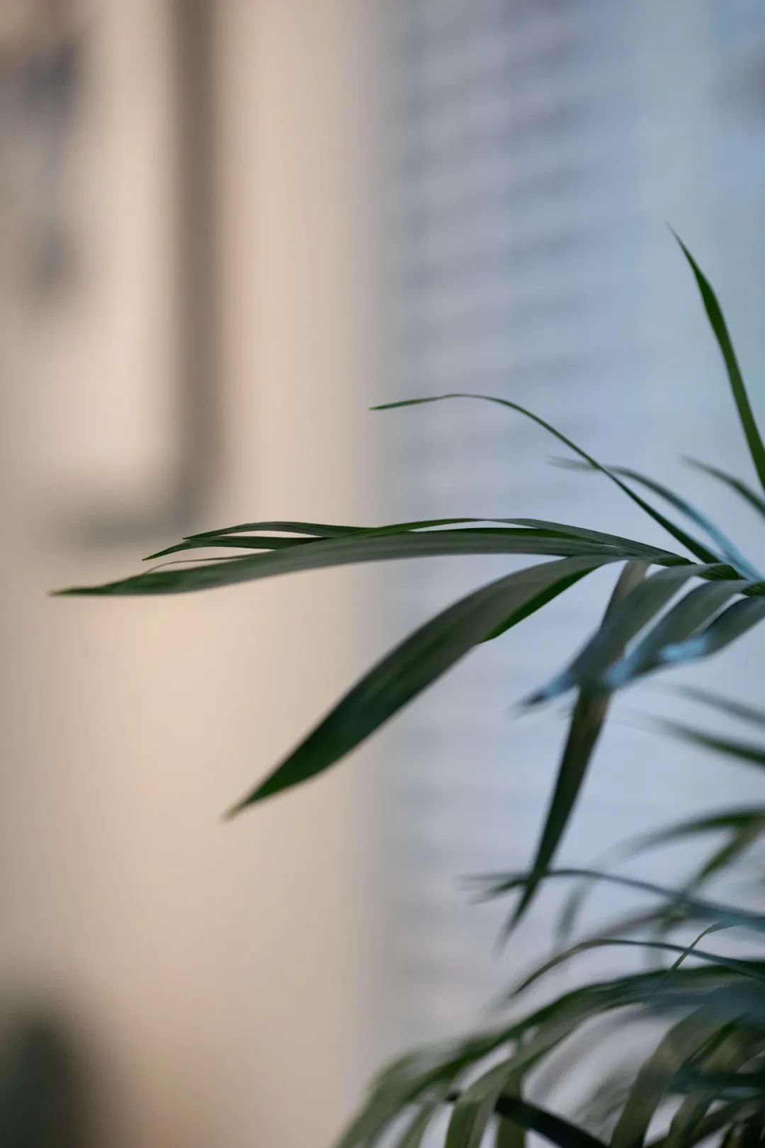 致美致诚室内设计张林：让空间，交织于艺术与生活