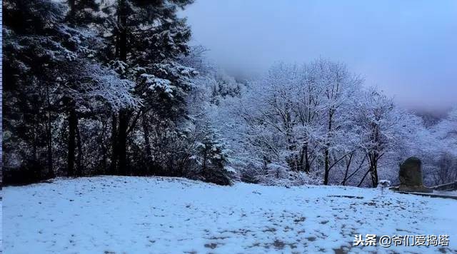 红墙，白雪，琉璃瓦，大雪压青松