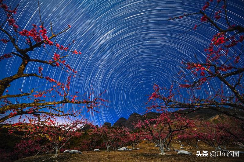 迷人夏夜！20张唯美的星空摄影作品