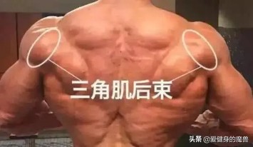 完全改造窄肩！高手都會用到這7個王牌訓練？