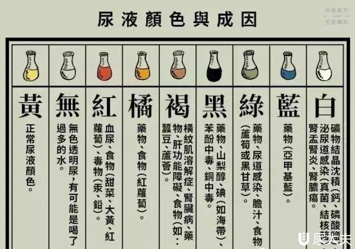 尿中有泡沫是怎么回事？除了肾病还可能是这些原因