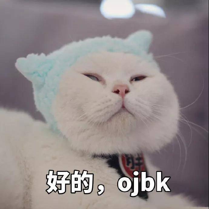 猫咪表情包OK系列：我觉得OK