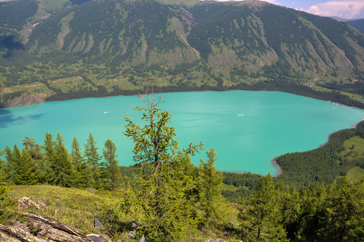 新疆喀纳斯湖水怪是真的吗（浅谈喀纳斯湖的水怪之谜）