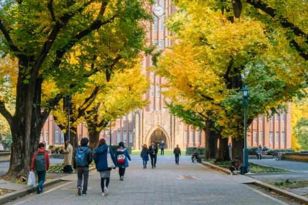 中等考生注意！这4所大学堪称“宝藏”，分数线不高，值得报考