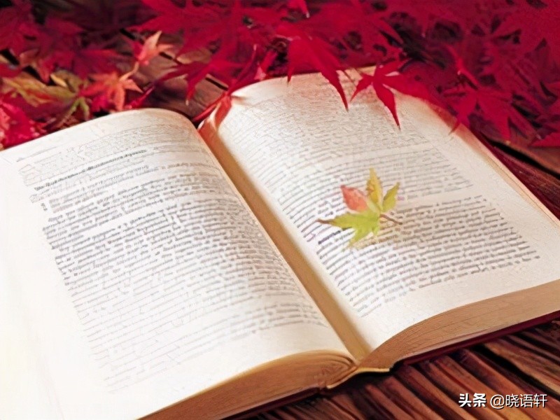 思维导图系列（9）文章分析之议论文