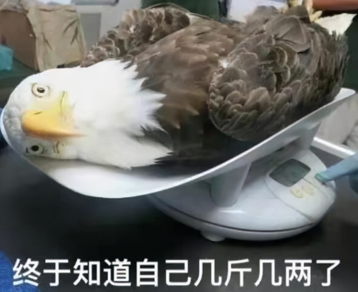 00后极简辞职信模板：一句话搞定，不拖泥带水走人超干脆