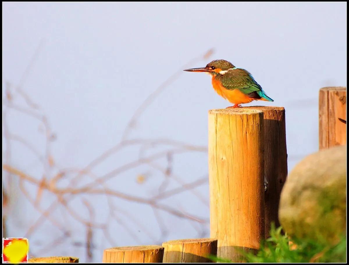 这个春节，倦鸟不归，情何以堪？你的人生还能出彩吗？