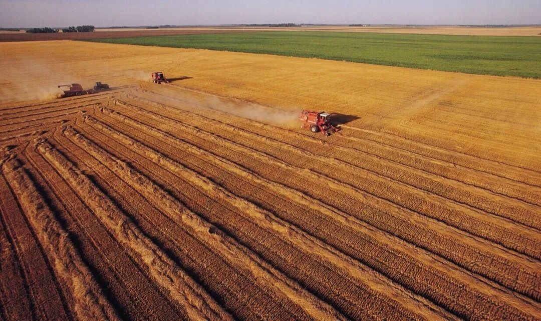 农村土地流转协议如何签？这3种情况最好不要签，睁大眼睛