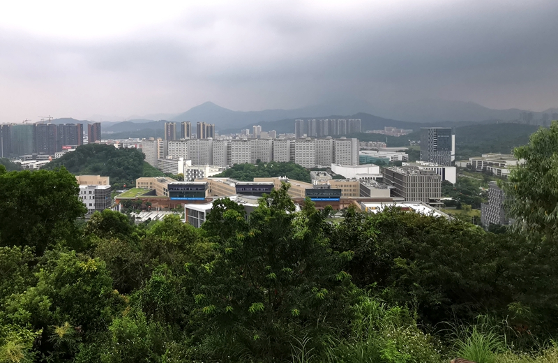 香港中文大学（深圳）校区美景，这所大学颜值很高，实力如何？