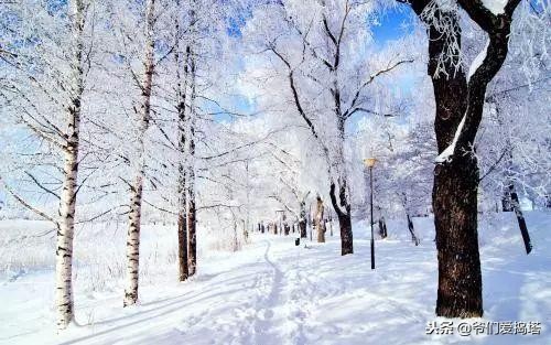 红墙，白雪，琉璃瓦，大雪压青松