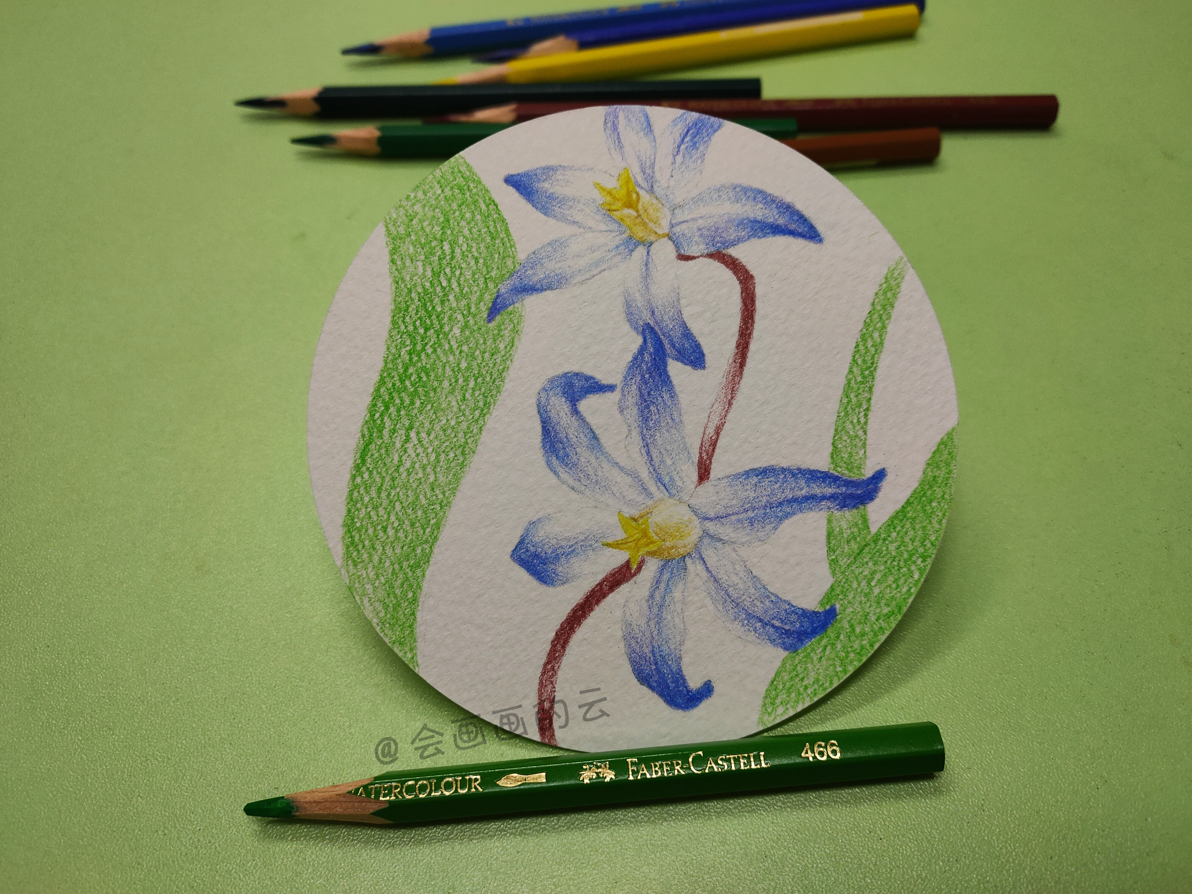 零基础教你用彩铅画蓝色的小花,简单又好看,9步就可以完成