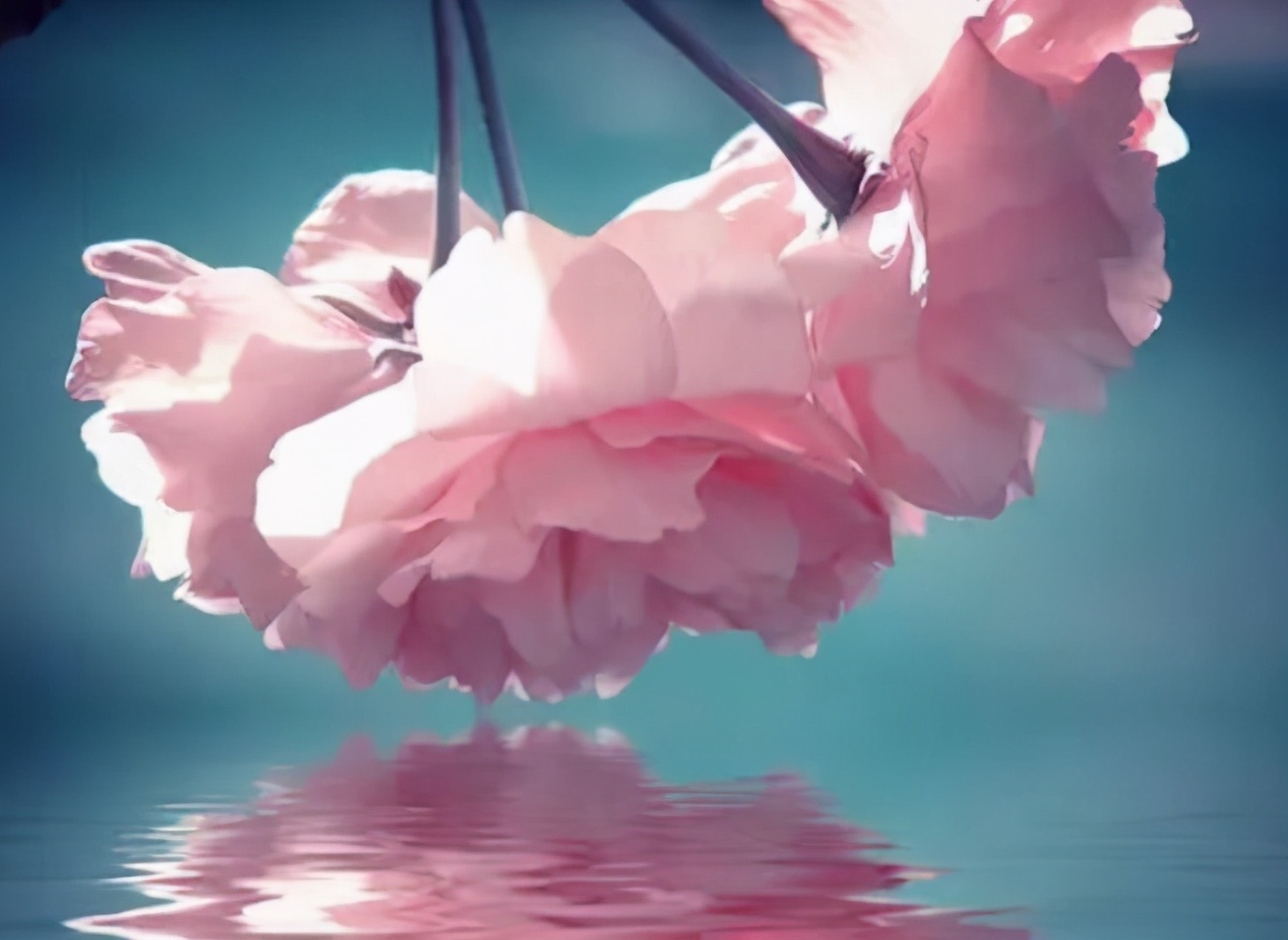 余生愿你：累了有人疼，难过有人懂，伤心有人拥