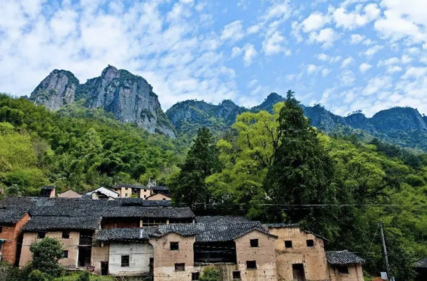 巨峰葡萄的產地,巨峰葡萄的產地在哪里