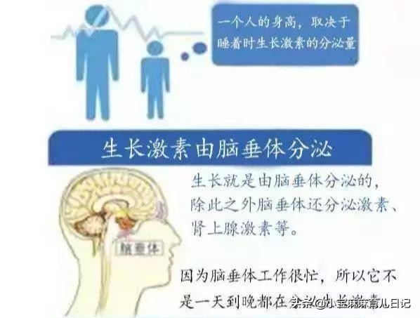 宝宝睡眠时间越长，身高越高、大脑越聪明？标准睡眠时长是这个数