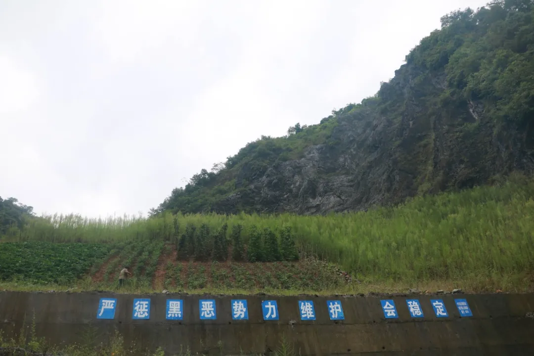 举报污染被指控“寻衅滋事”，这个女人抗争了两年