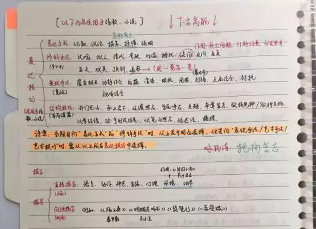 全国1卷高考总状元，高考语文成绩146分，文与字的魅力