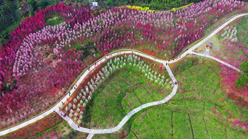 湖南十强县，桃源为何脱颖而出