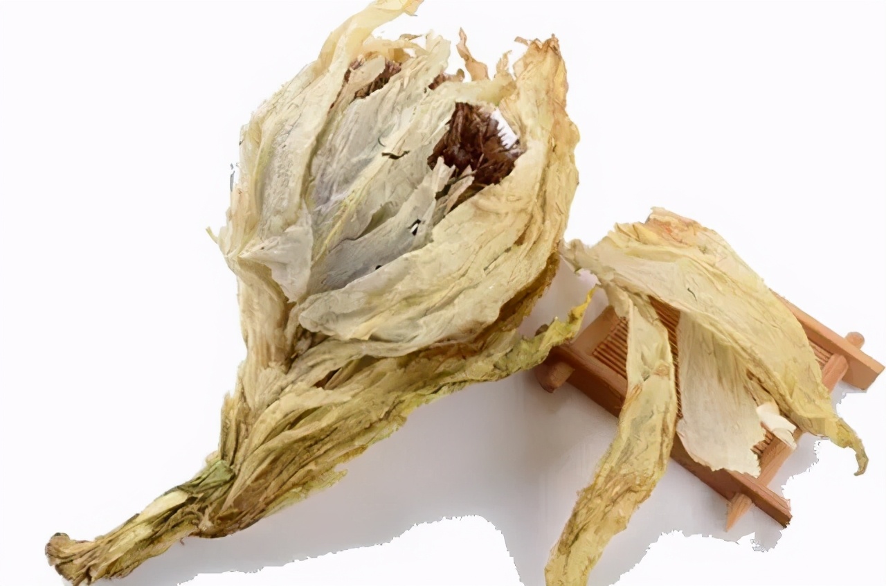 天山雪莲和培养物