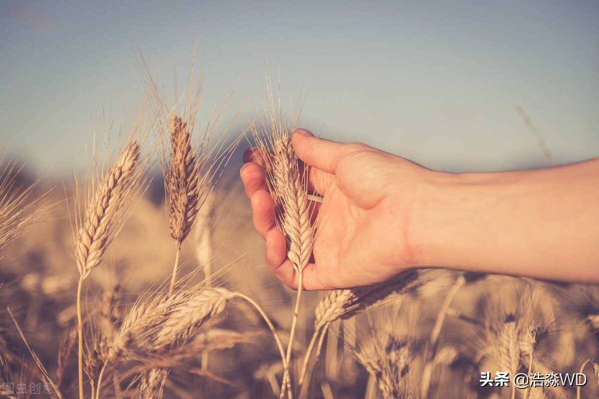 圣泉山人文举萃〔八章〕