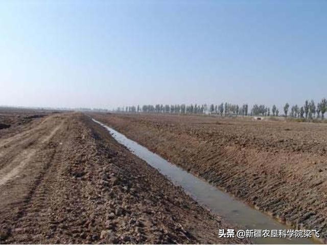 如何利用田间持水量和土壤容重确定滴灌作物一亩地的最大灌溉量？