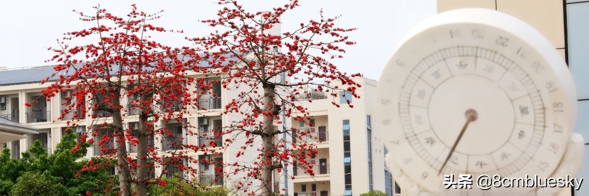 未来大有可为，中医药类高校大盘点（十八）——广西中医药大学