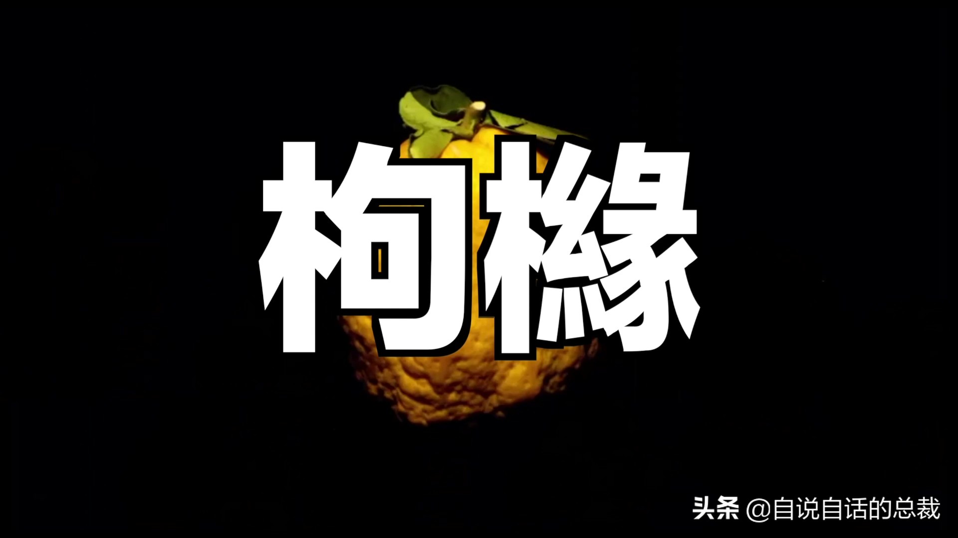 全世界的柠檬都读Lemon？这背后有一个刻在8号染色体上的上古故事