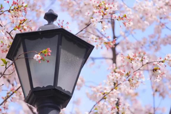 14个学科进入ESI前1%，培养出近50名院士！听说，江苏有个