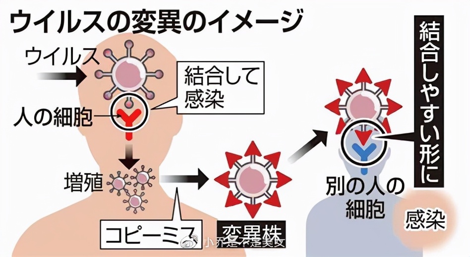 「完全版」日语外教解释，2021年日本新语･流行语