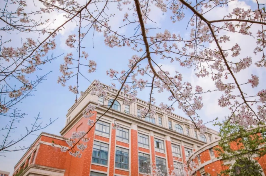 今年报考法学的考生，留意这份“法学专业排名”，还有就业攻略