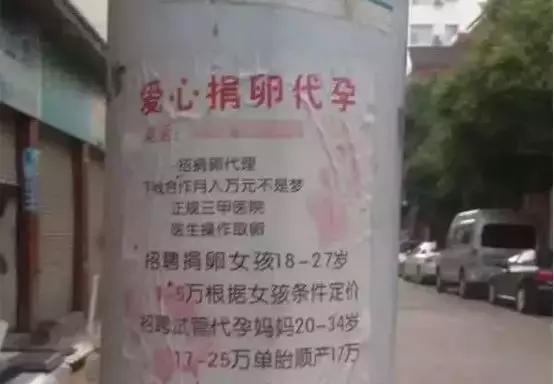 大二女生卖卵,三天后肚子大如孕妇险丧命!卖卵的危害有多大?