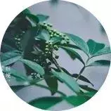 小满物语丨将满未满,知足常乐