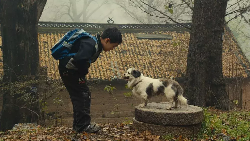 他们的成长之困,并不只是在新闻事件里